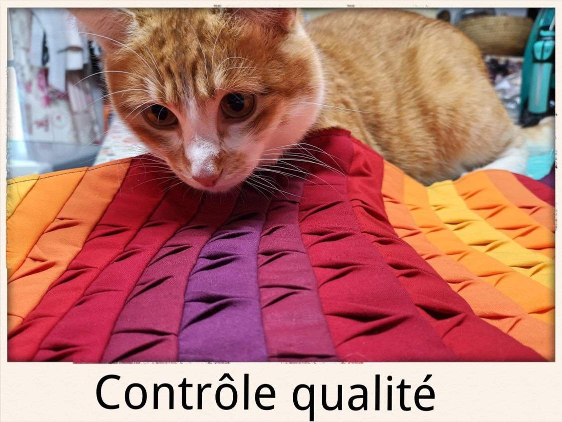 Le chaton inspecte les travaux finis (un ouvrage de tissu origami)